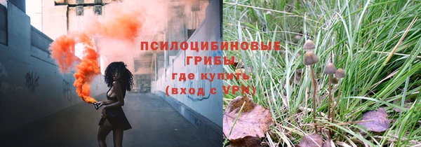 apvp Аркадак
